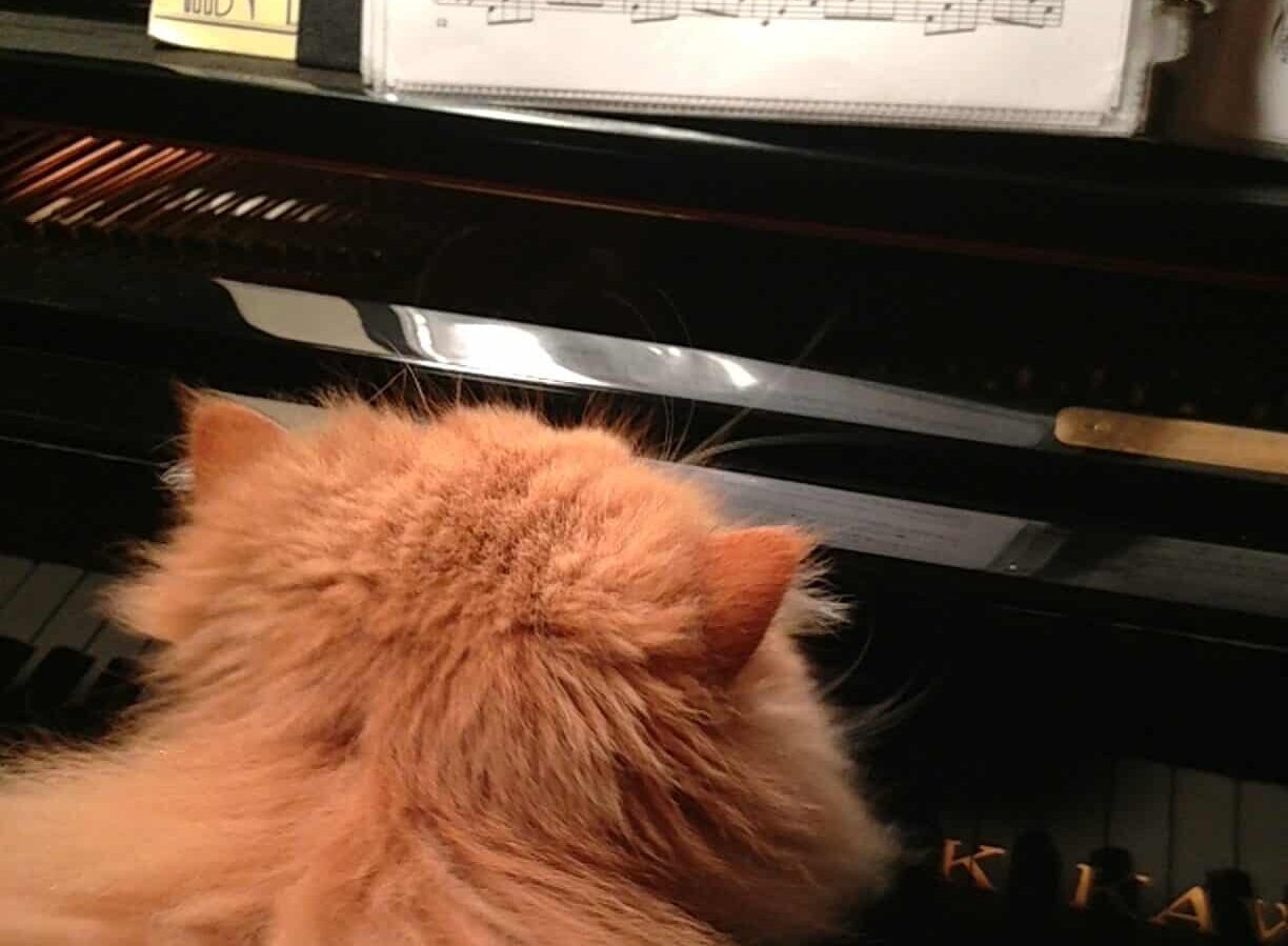 Fritz practicing the piano